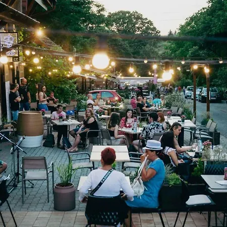 In - Ostungarn 53339 Ferienhaus *