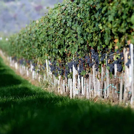 In - Ostungarn 53339 Ferienhaus Erlau