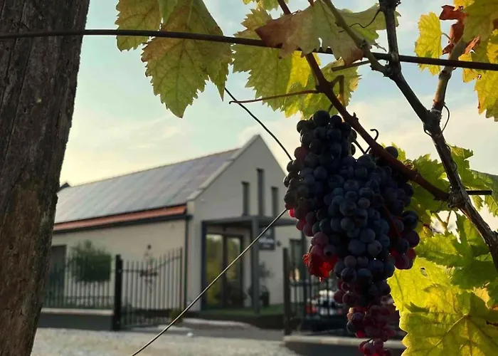 Dom wakacyjny In - Ostungarn 53339