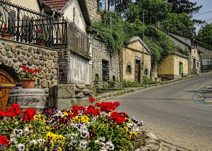 In - Ostungarn 53339