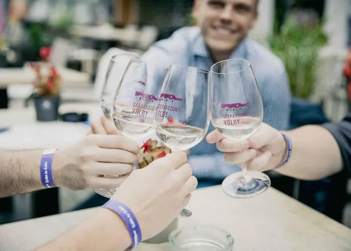 Dom wakacyjny In - Ostungarn 53339