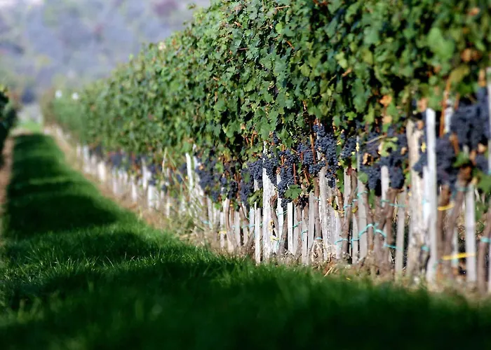 In - Ostungarn 53339 Dom wakacyjny Eger